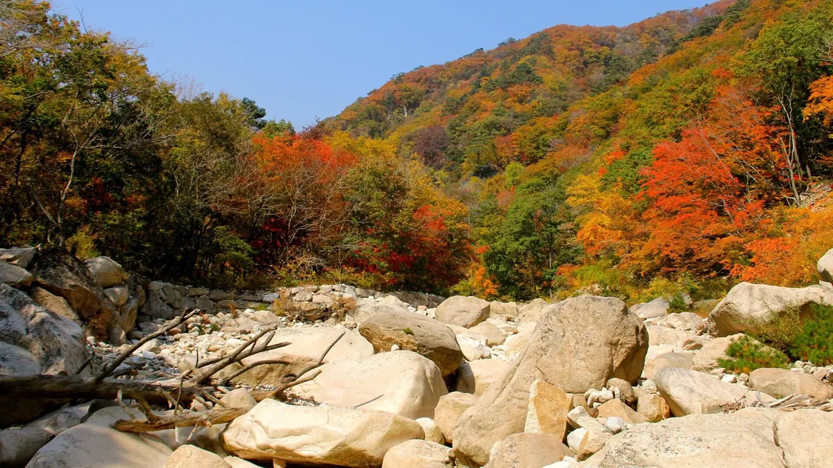 단풍이 물든 설악산 계곡